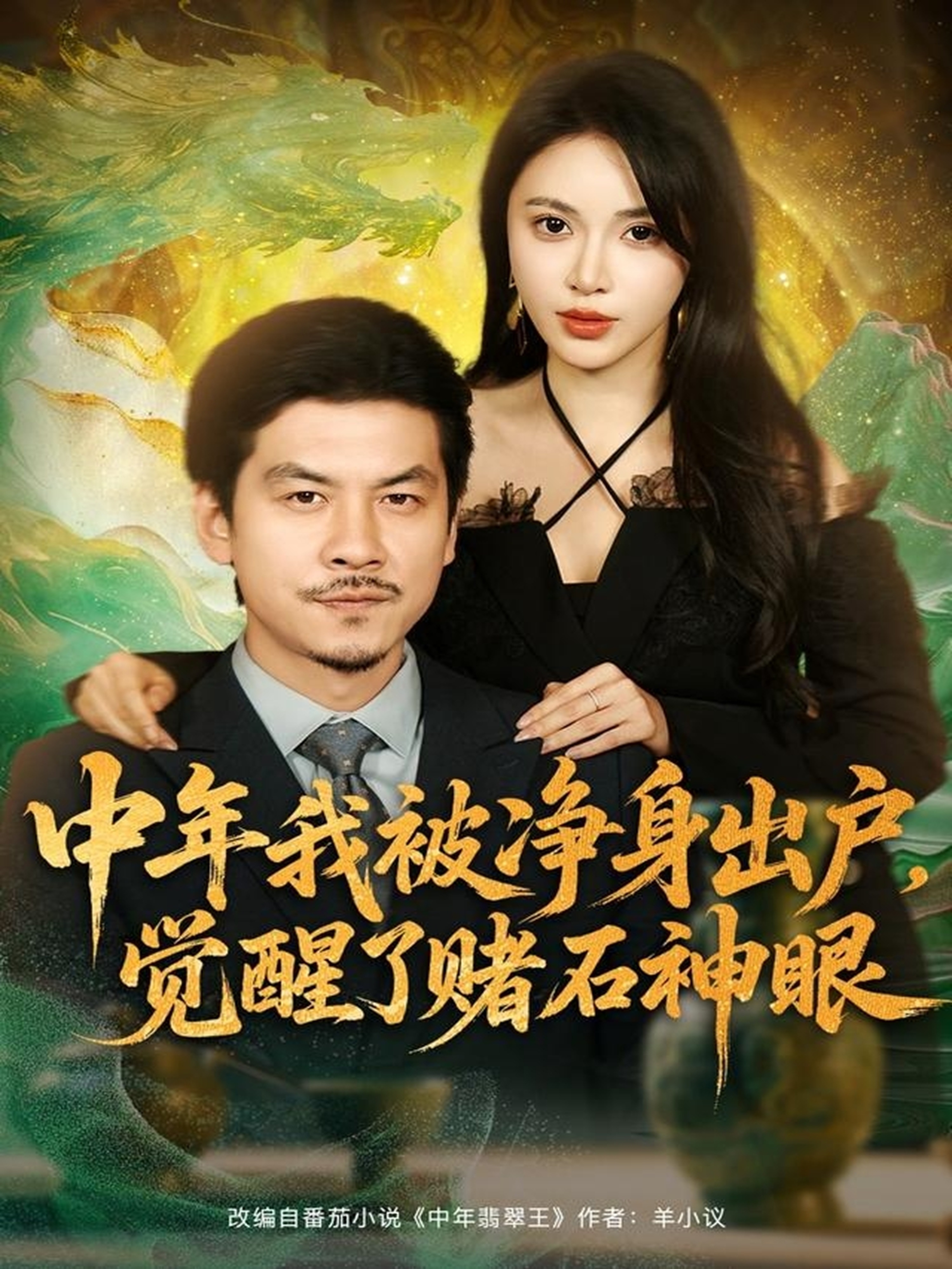 中年我被凈身出戶，覺(jué)醒了賭石神眼(全集)