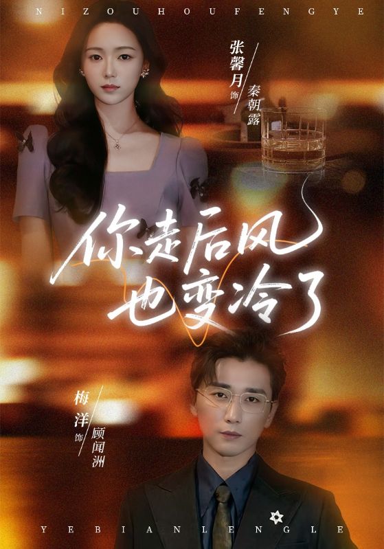 你走后風(fēng)也變冷了(全集)