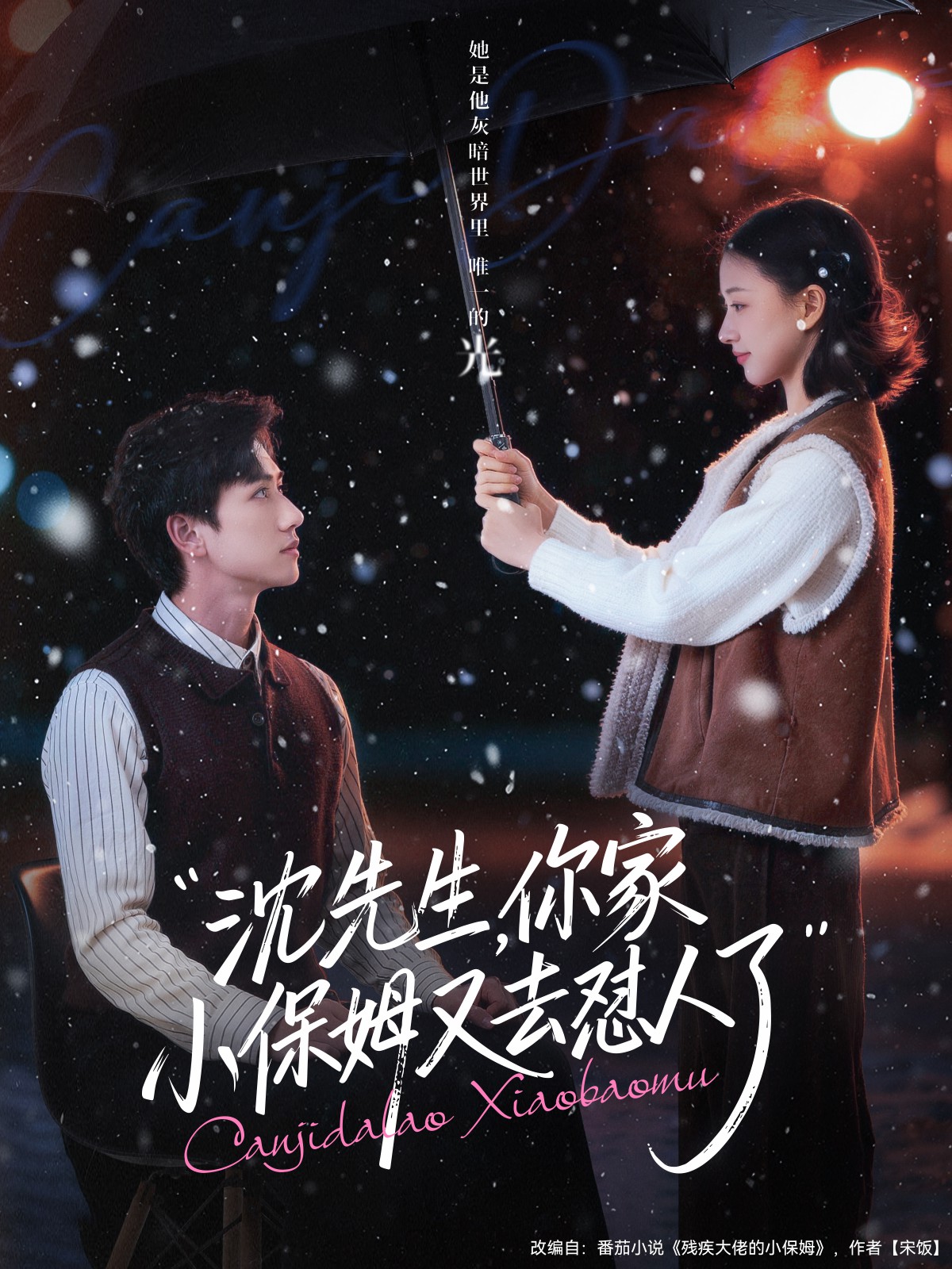 沈先生，你家小保姆又去懟人了(全集)