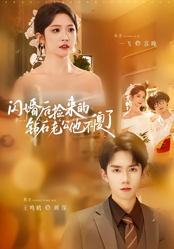 閃婚后撿來(lái)的鉆石老公他不傻了(全集)