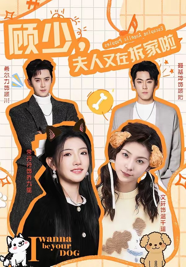 顧少，夫人又在拆家啦(全集)
