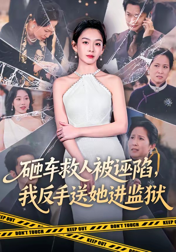 砸車救人被誣陷，我反手送她進(jìn)監(jiān)獄(全集)