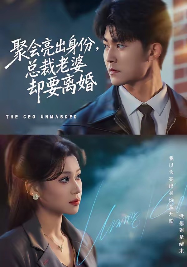 聚會亮出身份，總裁老婆卻要離婚(全集)