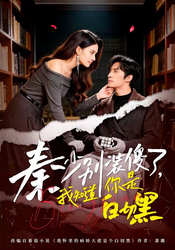秦少別裝傻了，我知道你是白切黑(全集)