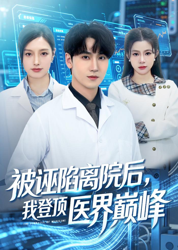被誣陷離院后，我登頂醫(yī)界巔峰(全集)