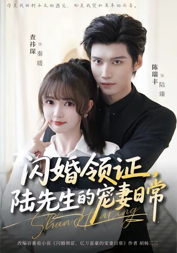 閃婚領(lǐng)證，陸先生的寵妻日常(全集)
